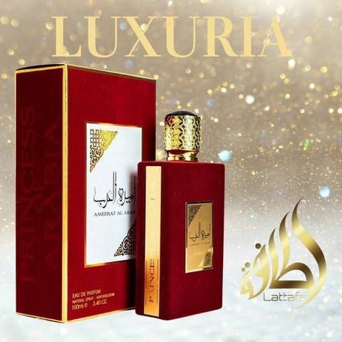 whatsapp-image-2024-09-26-at-17-00-21-1-d8177502a47e0c1d3517273810263986-480-0 whatsapp image 2024 09 26 at 17 00 21 1 d8177502a47e0c1d3517273810263986 480 0